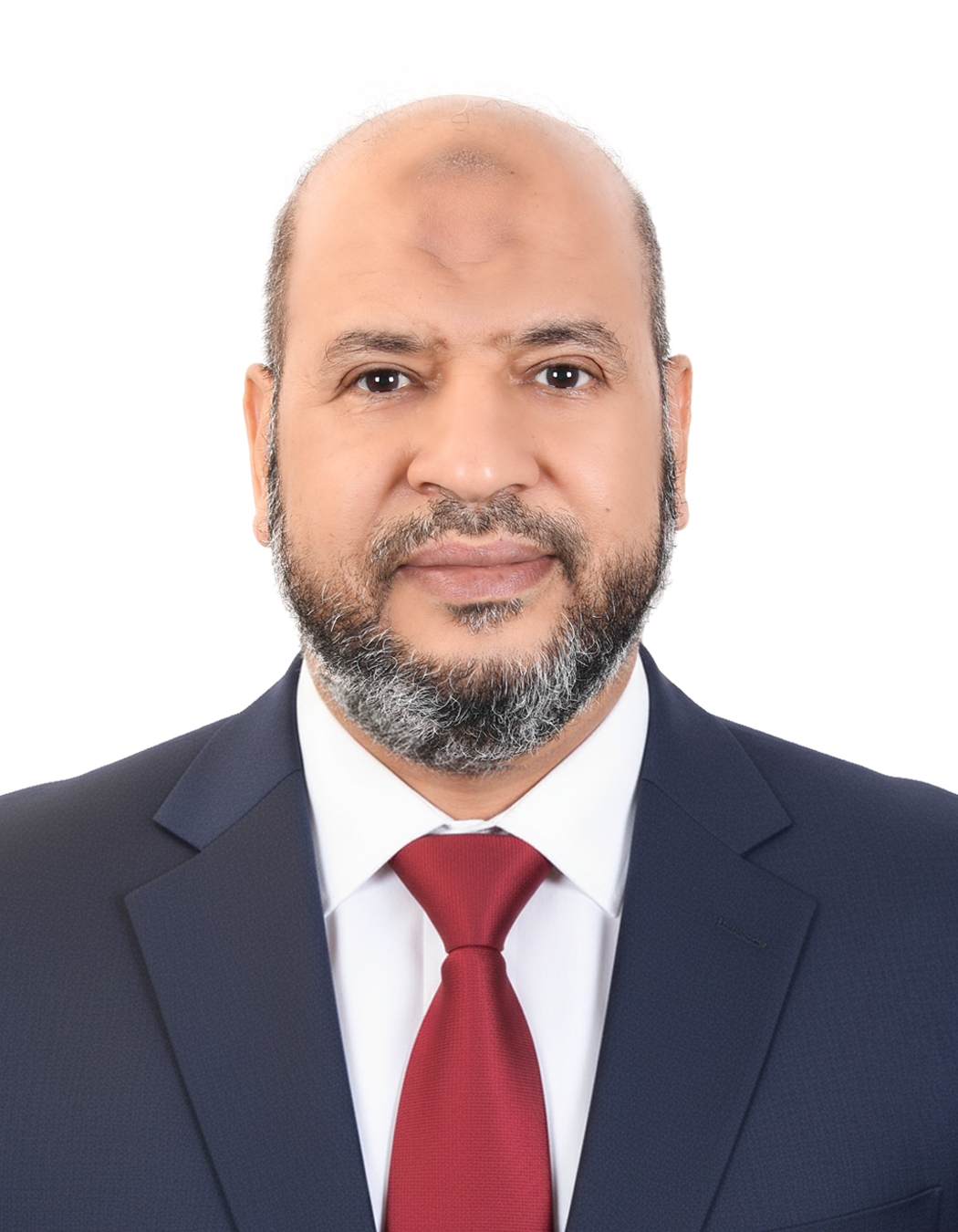 الدكتور المحامي المستشار: محمد عبد الحميد الرملاوي